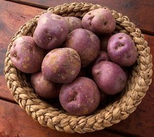 Arran Victory Seed Potatoes -