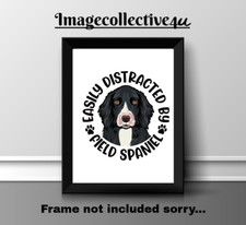 FIELD SPANIEL PET  DOG A4
