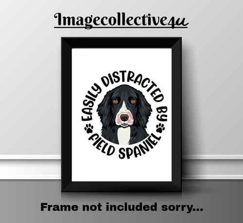 Field spaniel pet dog - pet,