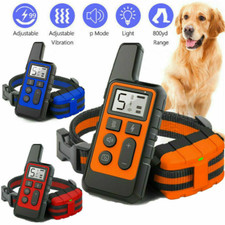 Dog Training Collar