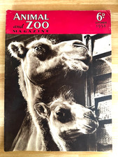 5 x ANIMAL & ZOO MAGAZINE 1938 JUL/NOV WW2-TIME GREAT FEATURES PANDA POLAR BEAR