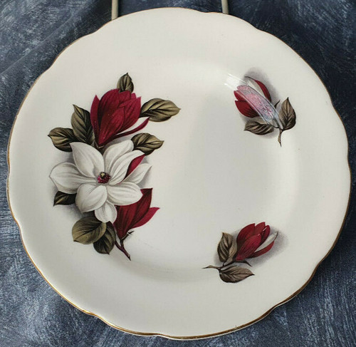 Regency bone china - regency, —