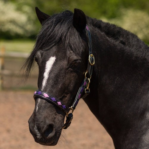 Gallop adjustable diamond - adjustable,