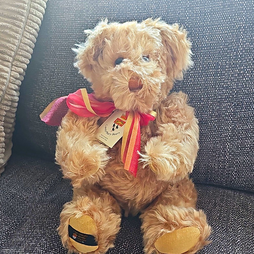 Canterbury bears samantha - bears,