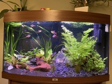 Jewel Vision 180 Aquarium with Cabinet