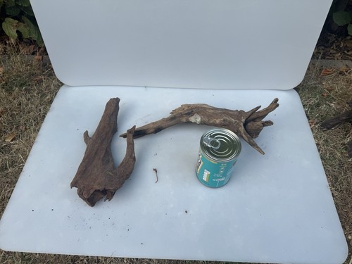 Bogwood spider wood corbo - bogwood,