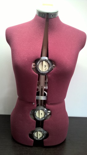 Adult female adjustable - adult, dress