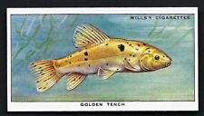 WILLS - POND & AQUARIUM, 2ND -