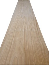 American Oak Wood Veneer /