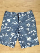 Hollister Mens Shorts Size 30 Inch Waist