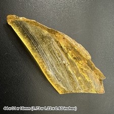 Copal with fossil insects and