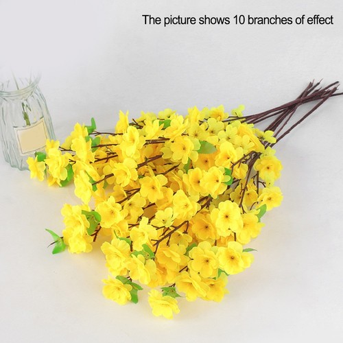 Experience the beauty - , of