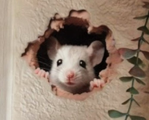 Charming naughty mouse - naughty,