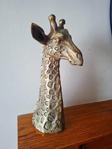 Giraffe animal jungle themed - jungle,