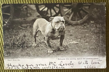 Antique dog postcard English