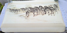 ZEBRAS AT WATERING-HOLE RALPH