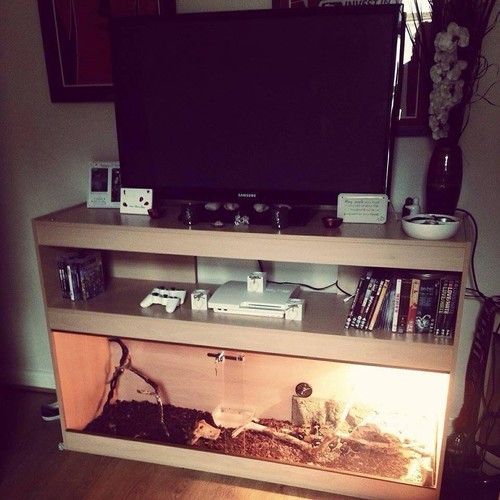 Stand vivarium - tv,