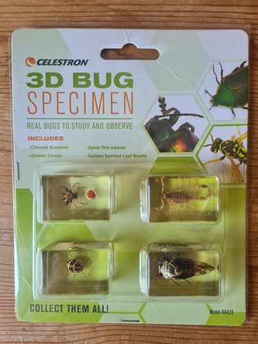 Real life bugs insects - ,