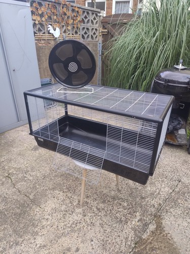 Hamster cage but - but, not