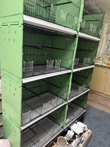 Double breeding cages - double,