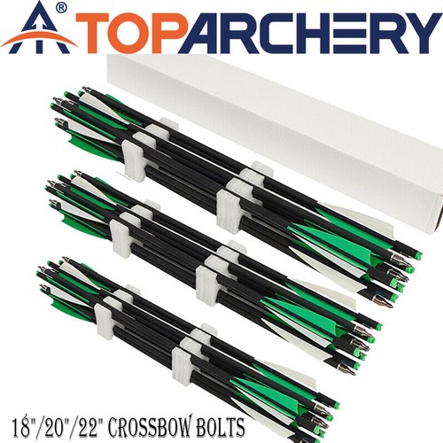Archery 22 carbon - archery,
