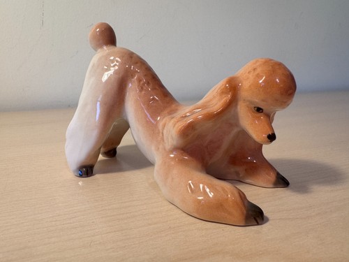 Lomonosov red poodle play - lomonosov,