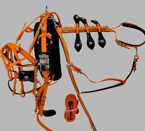 Quick hitch horse driving - horse,