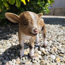Vivid Arts - Kid Goat - Garden
