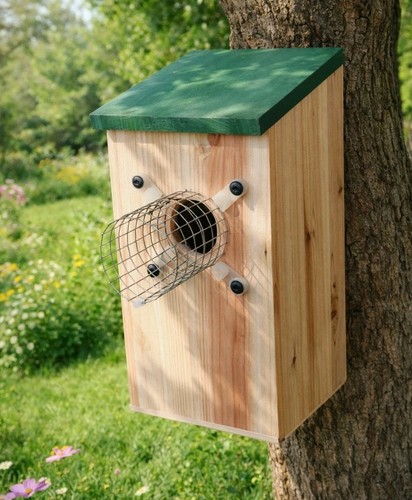 Bird box with predator - bird,