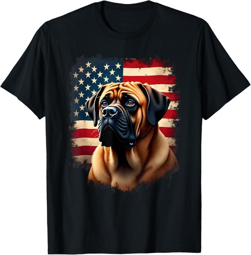 American flag english - american,