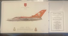 Tornado F3 ze838- Squadron