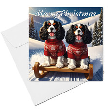 Cavalier King Charles Spaniel