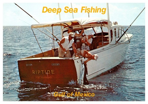 Postcard deep sea fishing - postcard,