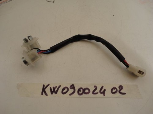 Rear wiring light - rear,