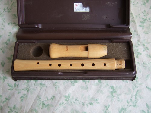 Moeck descant recorder school - descant, recorder,
