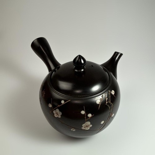 Tokoname ware teapot black mud - tokoname,