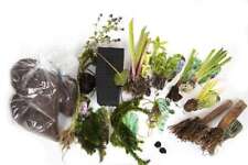 Pond Starter Packs - Pond topup Packs - Oxygenating - Compost and Pots