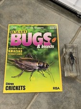 Armoured Cricket BUGS Issue 3