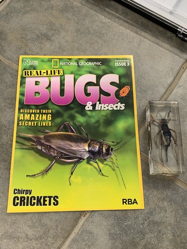 Armoured cricket bugs issue - issue, 3