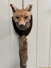 Taxidermy Fox Mask with