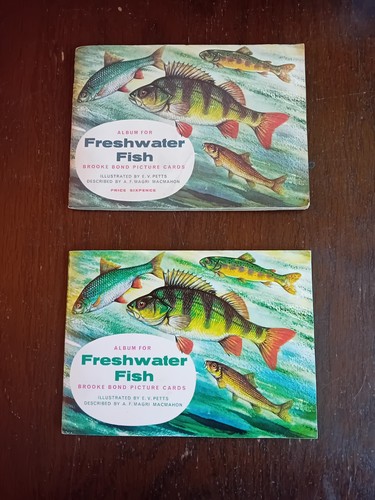 Brooke bond freshwater - 2,