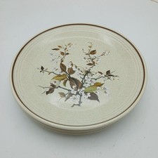 Royal Doulton Wild Cherry Salad/Luncheon  Plates X 4 Retro 22cm 1038 Lambethware