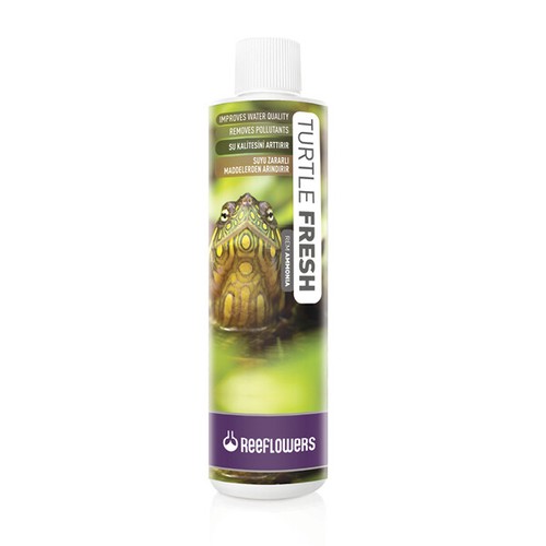 Reeflowers turtle fresh - turtle,