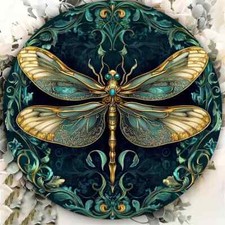 BEAUTIFL REGAL DRAGONFLY