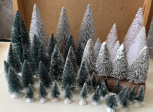 Bottle brush pine trees - brush,
