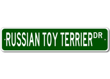 Russian Toy Terrier K9 Breed