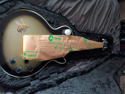 Epiphone les paul - custom, adam