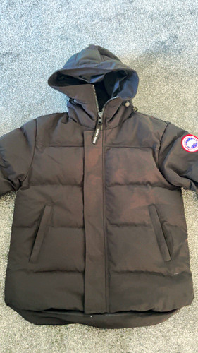Canada goose arctic program - canada,