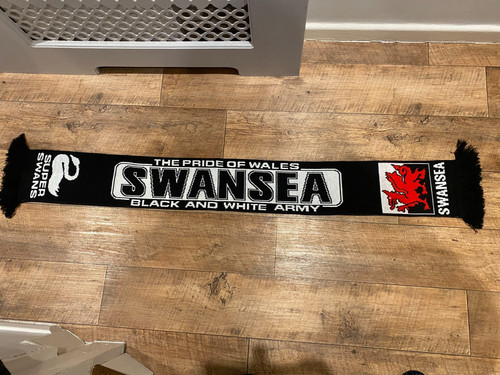 Swansea city the - city,