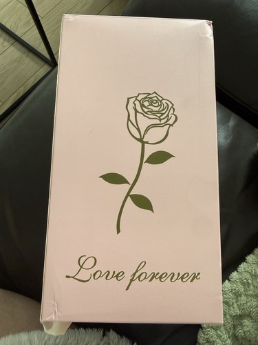 Led forever love - forever, rose